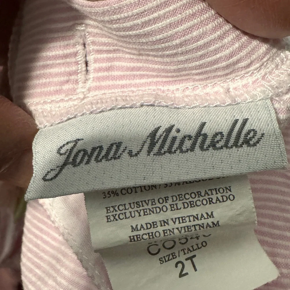 Jona Michelle size 2T dress